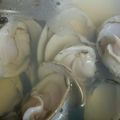 ♡ゆづき♡'s cooksnap of when they made ハマグリのお吸い物（潮汁）.