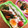 mikamapi's cooksnap of when they made 簡単！お揚げたまご.