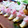 jn_njv♪'s cooksnap of when they made おせちかまぼこ にわとりさん飾り切り.