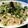 ともち。's cooksnap of when they made ブロッコリーのパスタ★★.