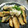 kero55's cooksnap of when they made 鯖の竜田揚げ・おろしソース.