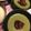 *りまりま*'s cooksnap of when they made 抹茶の豆乳ぷりん.