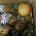 せつせつせつ's cooksnap of when they made 日持ち最強！じゃがいも保存法(秋冬限定).