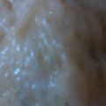 ハリー１５歳's cooksnap of when they made 野菜たっぷりの肉まん.