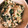 ナナナナ。's cooksnap of when they made とってもクリーミィーなほうれん草の白あえ.