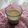 pagu_pagu's cooksnap of when they made 格安！とろりんっプリン.