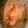 yucca**'s cooksnap of when they made きのこたっぷり炊き込みご飯✿だし醤油.