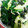 クックFJRVS0☆'s cooksnap of when they made ほうれん草としらすの海苔和え.