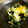 maruru-nn's cooksnap of when they made ほうれん草×たまご♡マヨサラダ.