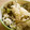 maruru-nn's cooksnap of when they made サツマイモと塩昆布の炊き込みご飯.