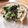 クックえりな's cooksnap of when they made 釜揚げしらすのチーズトースト.