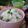 もりあん農園's cooksnap of when they made 豆ご飯☆.