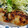 もっちぃ0513's cooksnap of when they made ＊簡単美味＊さわらのマヨ味噌焼き.