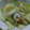 みるくとココア's cooksnap of when they made ちくわとキャベツのごまおかか和え.