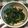 izoopu's cooksnap of when they made 春菊の胡麻和え.