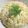 achanuha's cooksnap of when they made お手軽‼簡単！パラパラ卵チャーハン.