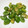 ki☆mama's cooksnap of when they made 包丁を使わずにそら豆をむく方法.