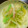 らららたくそう's cooksnap of when they made 大量消費☆はくさいのゆずこしょう漬け.
