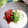 ＴＯＭＯＷＡＴ's cooksnap of when they made 我が家の✿マグロの❀漬け✿.