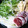 ＴＯＭＯＷＡＴ's cooksnap of when they made 鶏肉と水菜、野菜の鴨鍋風♪.