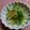 ＊たます＊'s cooksnap of when they made 柚子香る❀かんぞうのフルーティ酢味噌和え.