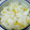 チルチルファミリー's cooksnap of when they made 簡単！ゆず大根のお漬物♪.