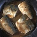 クックATFIP9☆'s cooksnap of when they made 簡単！サバの味噌煮.