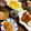 ノンサム's cooksnap of when they made 絶品☆人参とさきいかのかき揚げ.