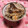 しぇり〜0127's cooksnap of when they made 鶏肉と舞茸の炊き込みごはん.