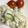 Mint★★'s cooksnap of when they made 里芋サラダ.