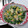 kotohime00's cooksnap of when they made ほうれん草×たまご♡マヨサラダ.