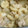 ☆レンココ☆'s cooksnap of when they made 里芋と蒟蒻のホクホクごま味噌煮*.
