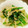 mykym's cooksnap of when they made ＊小松菜ともやしのレンジで簡単ナムル＊.