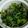 クックTN71E0☆'s cooksnap of when they made 丸大根葉とちりめんじゃこの生ふりかけ.