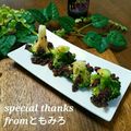 ともみろ's cooksnap of when they made ブロッコリーの黒オリーブペーストマリネ.