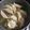 ぐうたら主婦みん's cooksnap of when they made もちもちジューシーなエスニック風水餃子.