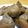 おしりぐま's cooksnap of when they made 懐かしい味ξ里芋の“煮っころがし”.