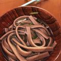 ★ａ★'s cooksnap of when they made 白だしであったかうどん&そば.