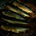 あくび王子まま's cooksnap of when they made いわしのらっきょう酢煮　節分　簡単.