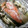 ka321ri's cooksnap of when they made 簡単！鮭のさっぱりホイル焼き.
