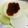 クック26352G☆'s cooksnap of when they made あったかほっこり！ふろふき大根.