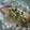 doiko's cooksnap of when they made 秋鮭ときのこのホイル蒸し.