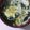 まいかるさー's cooksnap of when they made キクラゲと卵の冷製スープ.