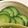 どぬこ's cooksnap of when they made 超簡単！1分以内で出来る、きゅうりの漬物.