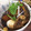 クックK9U57W☆'s cooksnap of when they made とろっと柔らか♡豚の角煮.