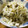低カロ探検隊's cooksnap of when they made もやしとしめじの黒胡椒風味.
