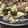 ミミちゃん大好きママ's cooksnap of when they made 牛肉の中華風炒め.