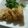 らぶKitty☆'s cooksnap of when they made ナゲット風☆鮭フレークでふわふわ揚げ豆腐.