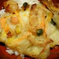 Lake☆Erie's cooksnap of when they made 野菜だけ！シンプルかき揚げ丼.