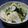 JILLY's cooksnap of when they made あっさりさっぱり浅漬け.